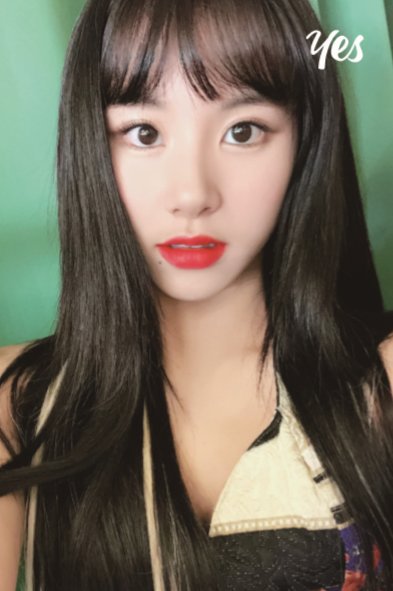 트와이스 미니 6집 Yes or Yes 모모, 다현, 채영 랜덤 포토카드 | 인스티즈