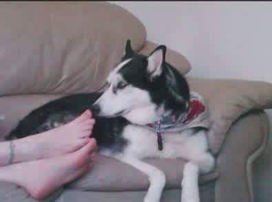 발냄새에 꼴까닥 | 인스티즈