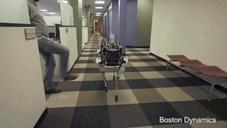 미래에 알파고가 반란을 일으키는 이유 | 인스티즈