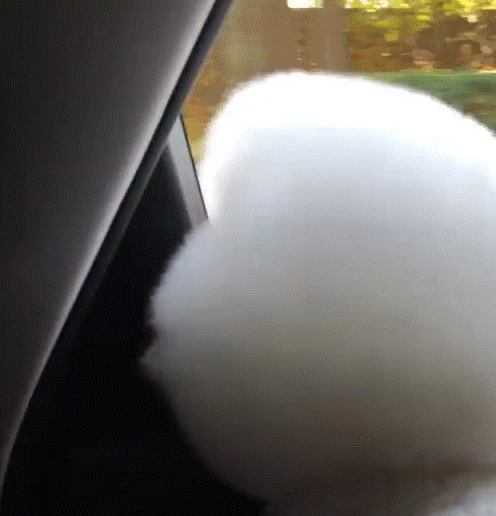 3주 만에 구독자 20만 넘긴 신세경 유튜브 | 인스티즈