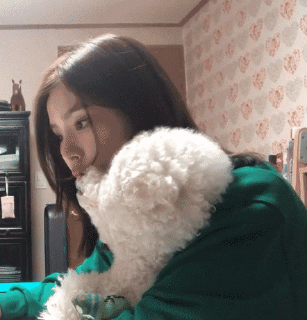 3주 만에 구독자 20만 넘긴 신세경 유튜브 | 인스티즈