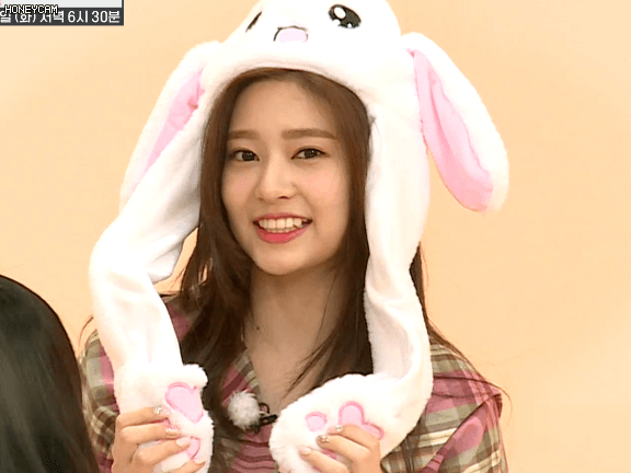 아이즈원 토끼귀모자 움짤1 (아이돌) | 인스티즈