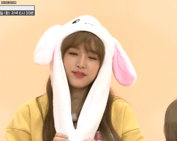 아이즈원 토끼귀모자 움짤1 (아이돌) | 인스티즈