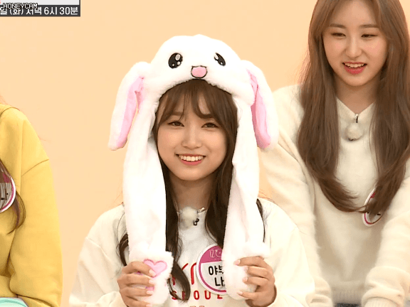 아이즈원 토끼귀모자 움짤1 (아이돌) | 인스티즈
