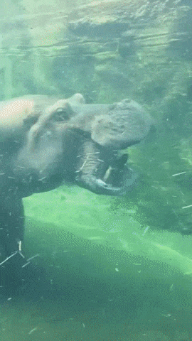 마우스 투 마우스.gif | 인스티즈