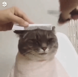 머리 조금만 다듬어주세요 | 인스티즈