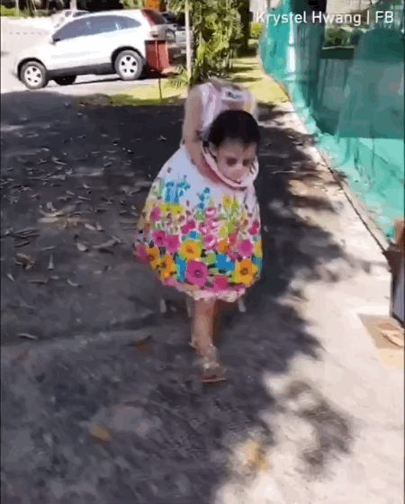 할로윈 코스튬 입고 사탕 얻으러 가는 어린이.gif (주의?) | 인스티즈