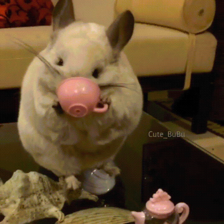 애미야 국이 짜다.gif | 인스티즈