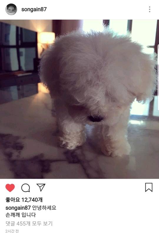 [가인] 근 1년만에 인스타 업뎃한 가인.jpg | 인스티즈