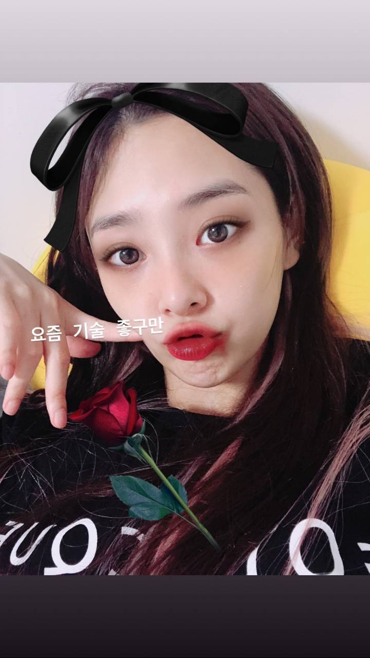 소나무 뉴썬 할로윈 셀카 | 인스티즈