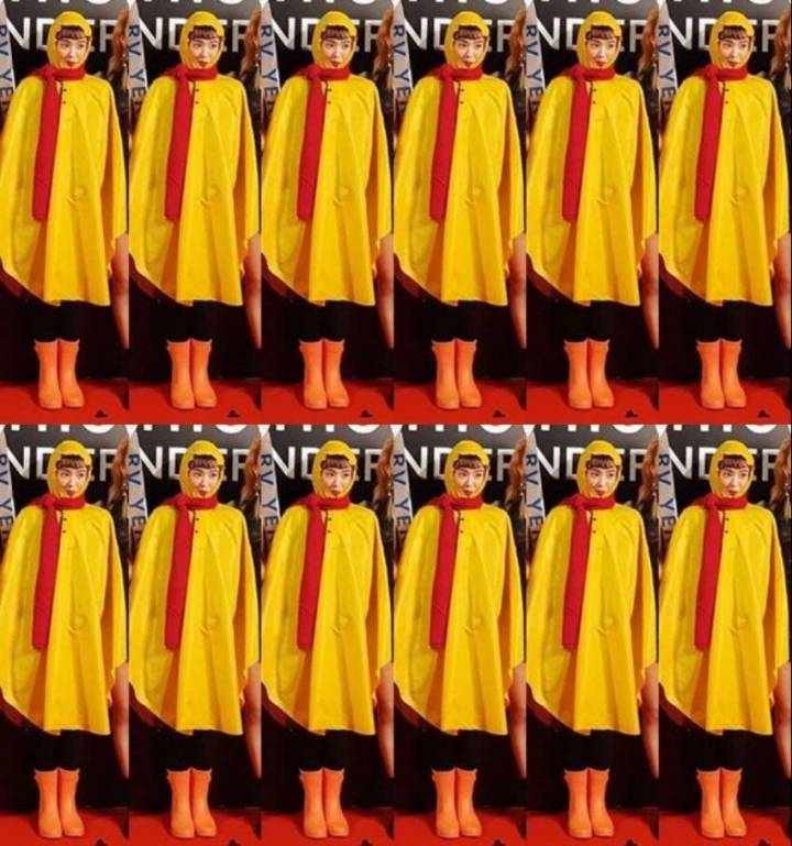 [레드벨벳] 팬들이 우비소녀를 몰라 천하장사 소세지 코스프레로 오해받은 아이린 | 인스티즈