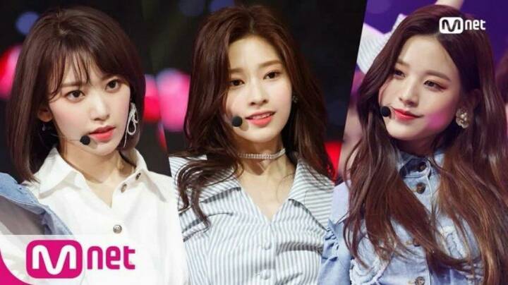 어제자 아이즈원 리얼리티에서 현실남매 모습 보여준 히토미 오빠 움짤 | 인스티즈