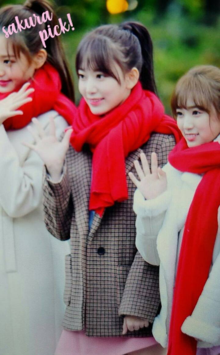 오늘자 뮤뱅 출근길 사쿠라 | 인스티즈