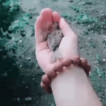 참새는 돌아오는거야 | 인스티즈