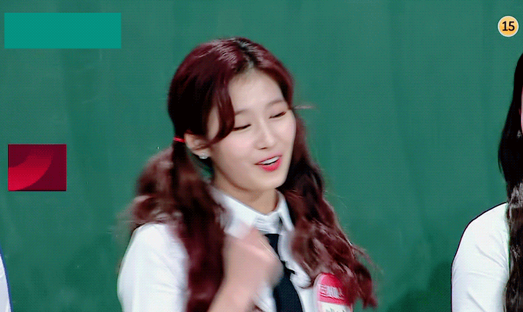 시바견인가 다람쥐인가....... 사나 | 인스티즈