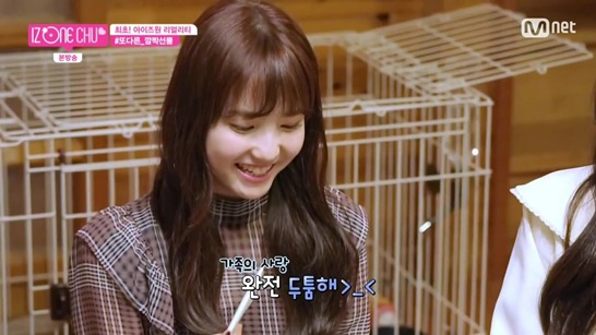 아이즈원, 세계 만국공통인 현실남매 | 인스티즈