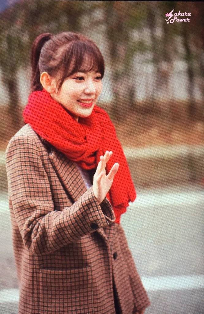 오늘자 뮤뱅 출근길 사쿠라 | 인스티즈