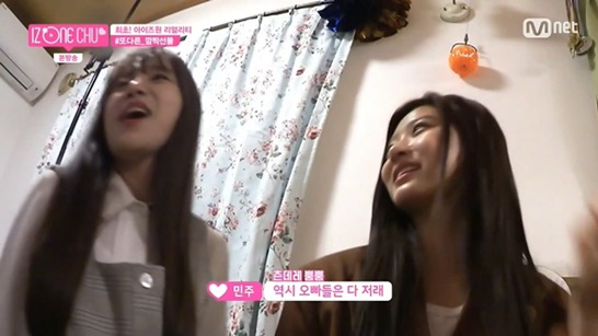 아이즈원, 세계 만국공통인 현실남매 | 인스티즈