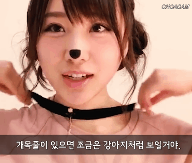 강아지 분장하는 타카하시 쥬리 | 인스티즈