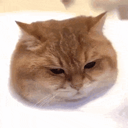 진짜처럼 생동감 넘치는 4D 그림 | 인스티즈