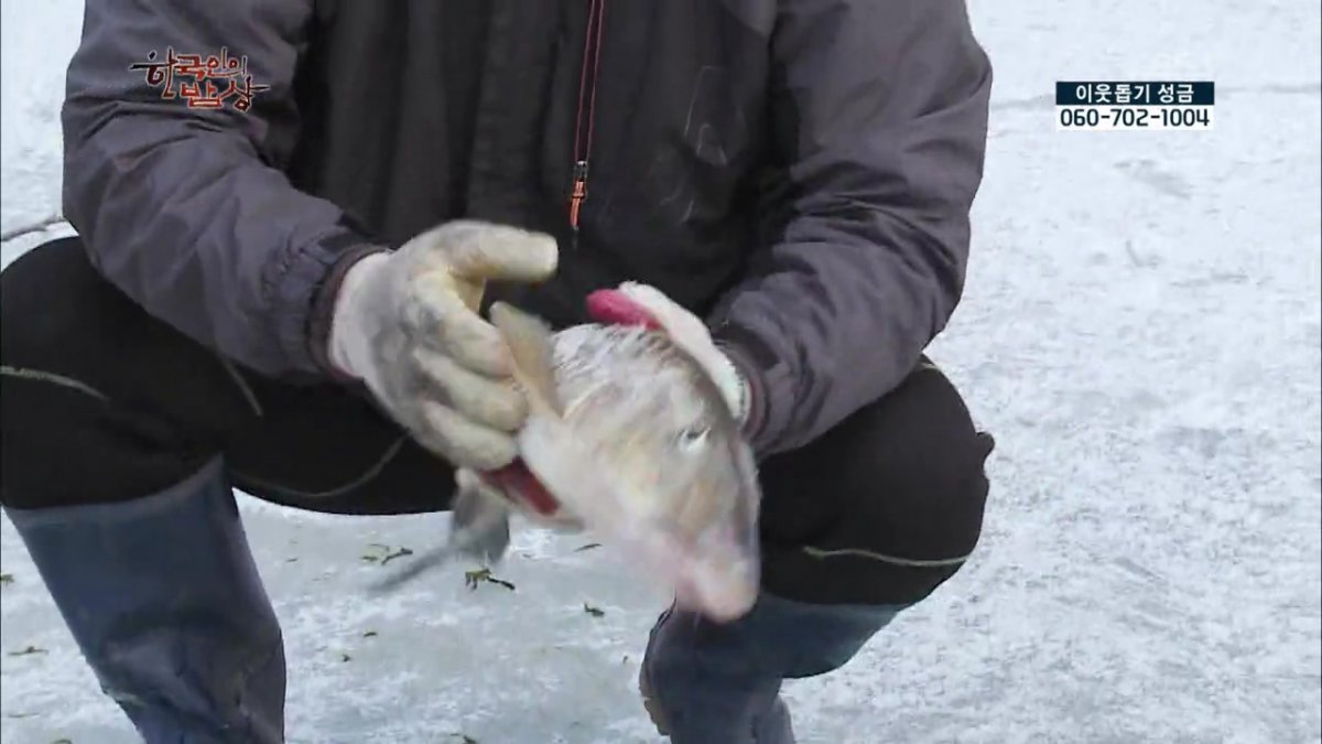 숯불로 해먹는 음식 좋아하시나요?.jpg | 인스티즈