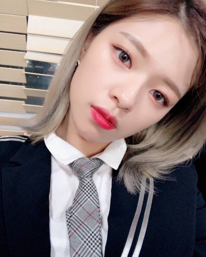 트와이스 정연 생일 축하 감사 인스타그램 | 인스티즈