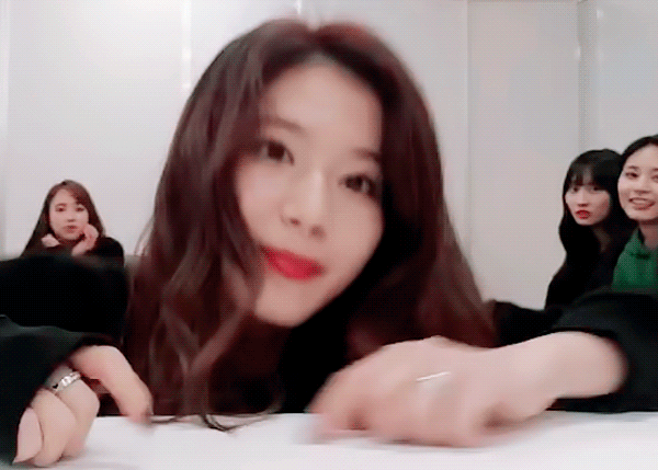 시바견인가 다람쥐인가....... 사나 | 인스티즈