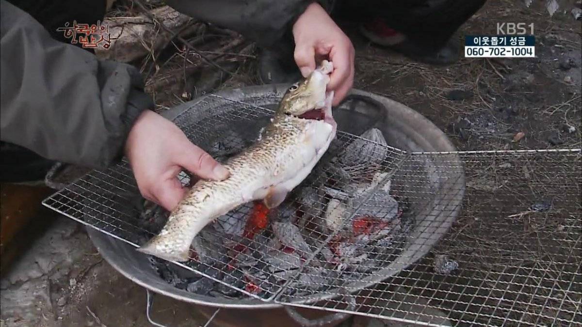 숯불로 해먹는 음식 좋아하시나요?.jpg | 인스티즈
