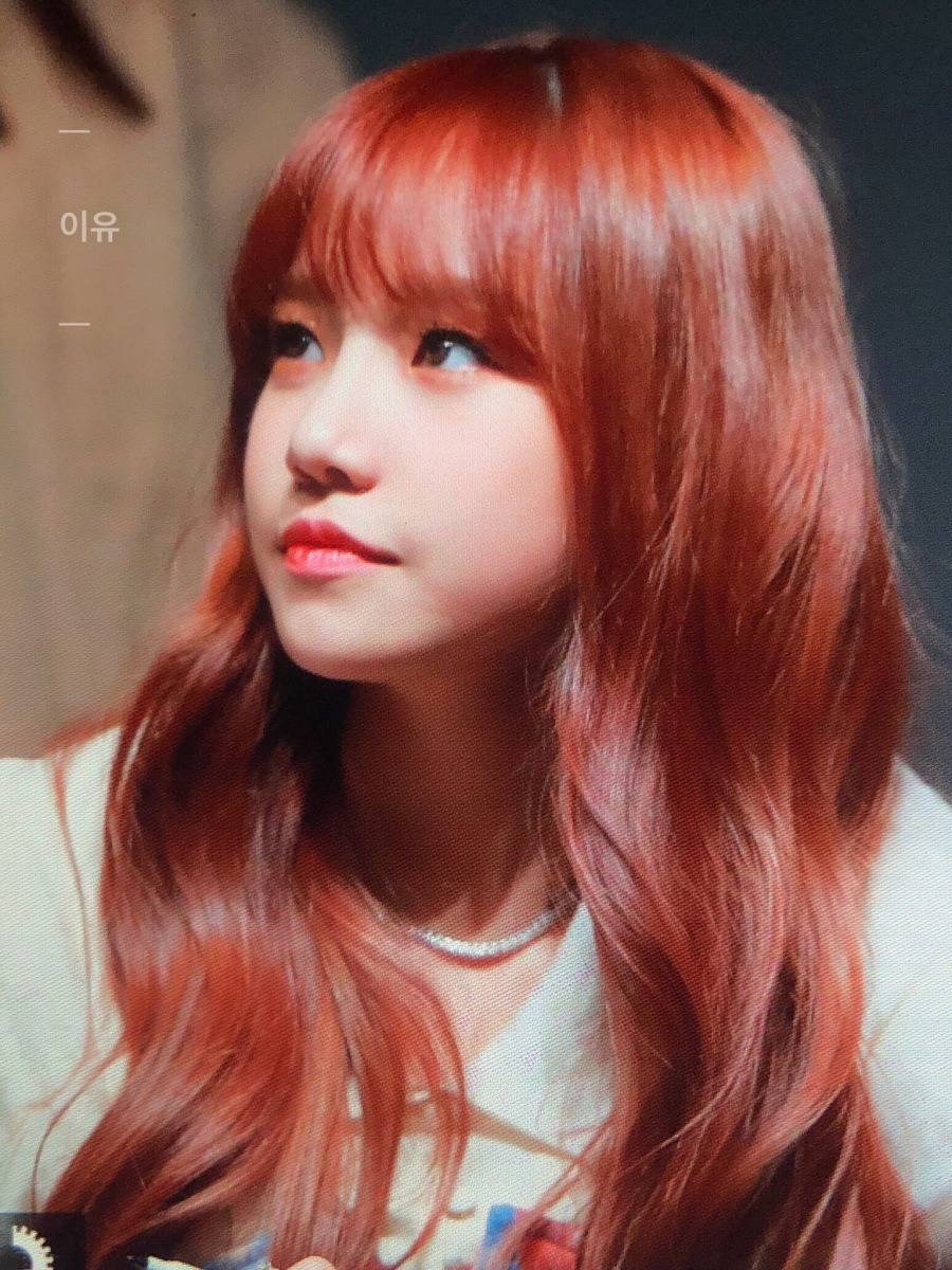 아이즈원 첫 팬싸인회 장원영,안유진,사쿠라,강혜원,김민주,조유리,김채원 사진,움짤.jpgif | 인스티즈