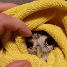 머리 만지지 말아요 | 인스티즈