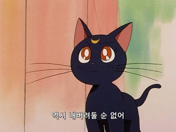 미소녀 전사 세일러문 (美少女戦士セーラームーン) 05 | 인스티즈