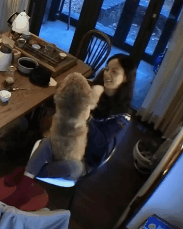 보면 힐링되는 이효리와 순심이 포옹짤.gif | 인스티즈