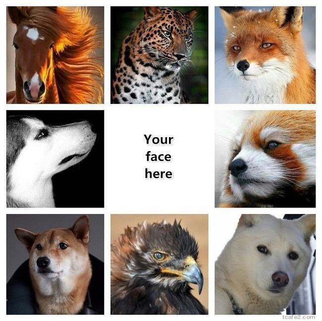 자기가 잘생겼는 지 확인 하는 방법 | 인스티즈