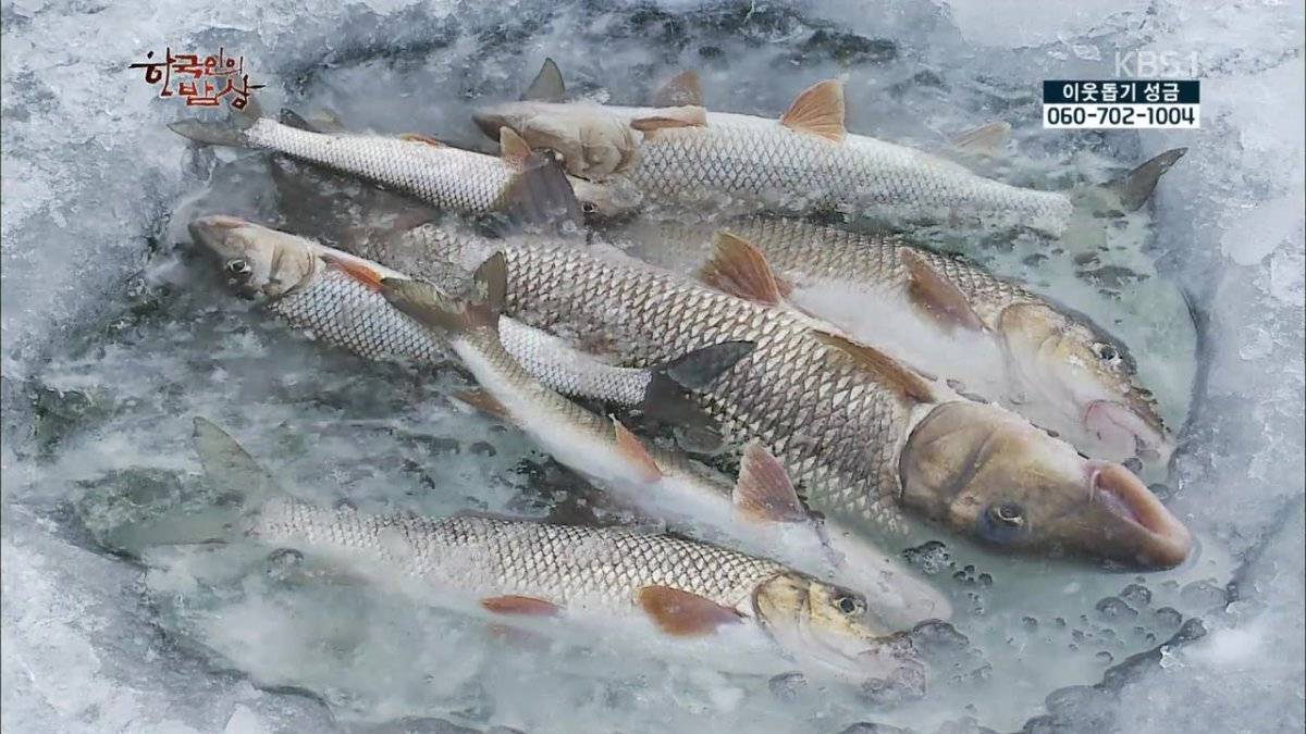 숯불로 해먹는 음식 좋아하시나요?.jpg | 인스티즈