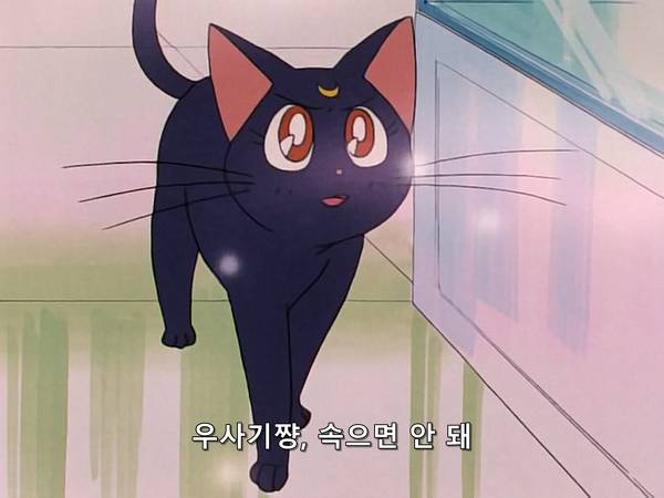 미소녀 전사 세일러문 (美少女戦士セーラームーン) 05 | 인스티즈