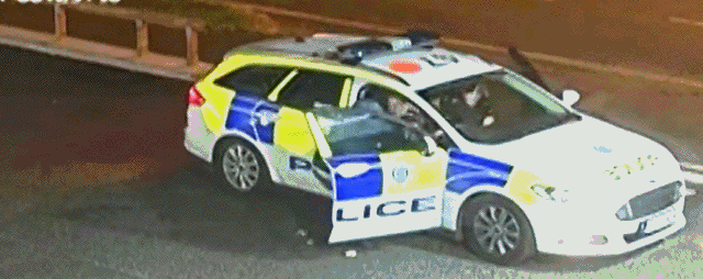 미래의 한국 치안 수준.gif | 인스티즈