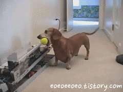 빈부견차 | 인스티즈