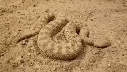 여기서 10년 살면 10억 드립니다 | 인스티즈