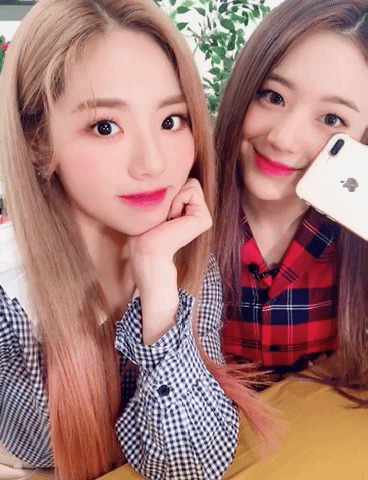 프로미스나인 러브밤 줌줌즈 | 인스티즈