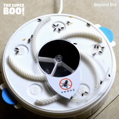 대륙의 파리 잡는 기계.gif | 인스티즈