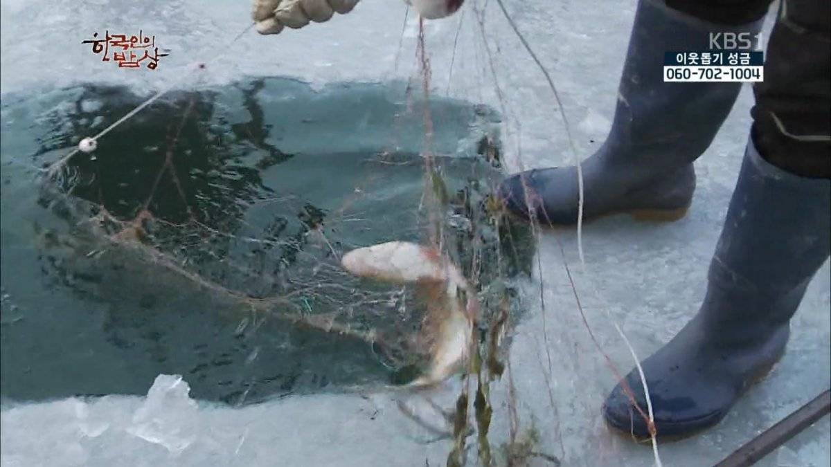 숯불로 해먹는 음식 좋아하시나요?.jpg | 인스티즈