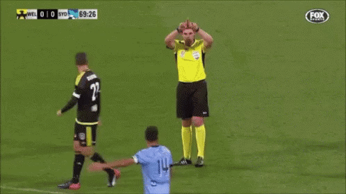 경기 중에 판정은 안하고 뜬금 덕밍아웃하는 심판들 | 인스티즈