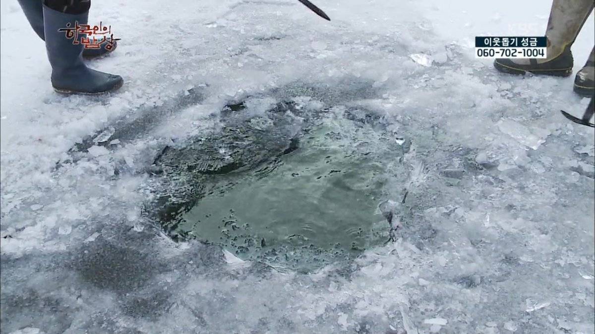 숯불로 해먹는 음식 좋아하시나요?.jpg | 인스티즈