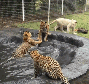 탕에서 이러는 진상 꼭 하나씩 있음 | 인스티즈