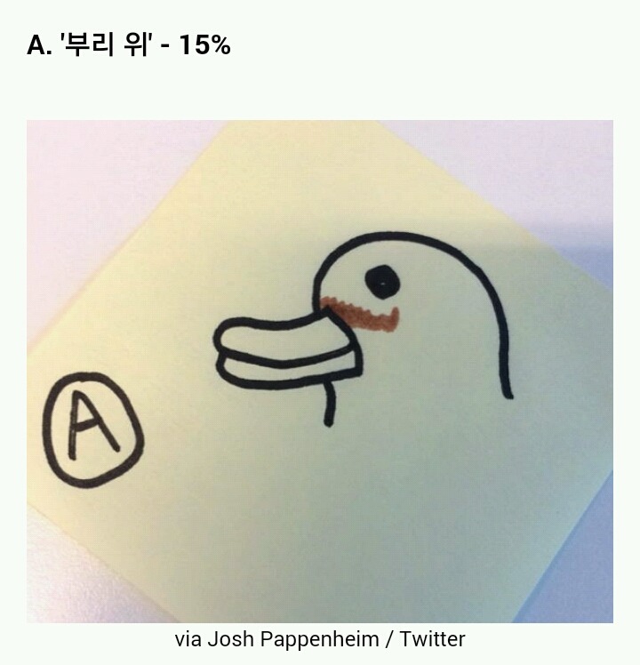 오리에게 콧수염이 난다면 어디에 날까 | 인스티즈