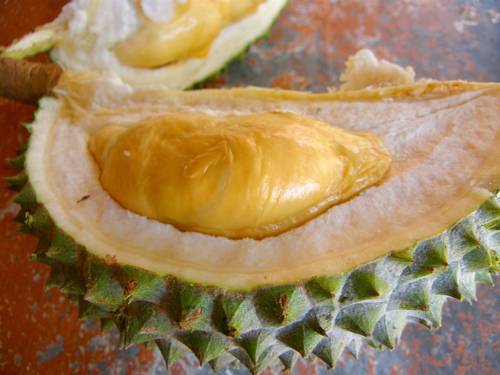  과일의 왕이라고 불리는 과일.jpg | 인스티즈