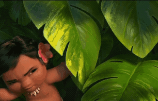 섬에서 나가본적이 없는데 내가 바다에 선택받았다네여;.gif | 인스티즈