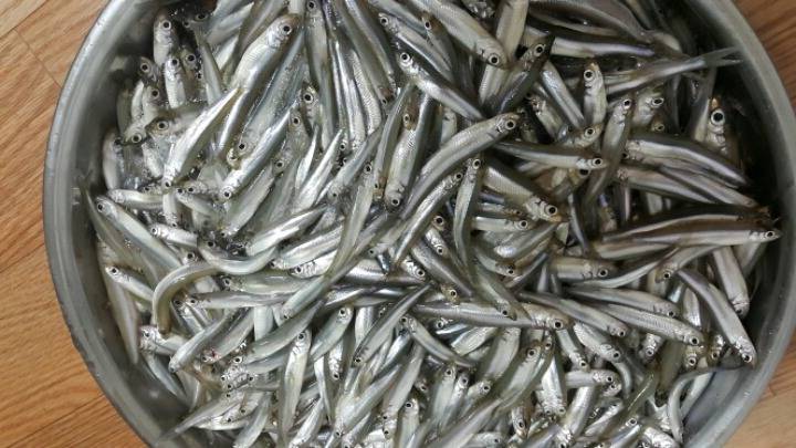 만들어먹고 사먹고 | 인스티즈