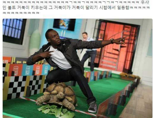 주인닮은 거북이.jpg | 인스티즈