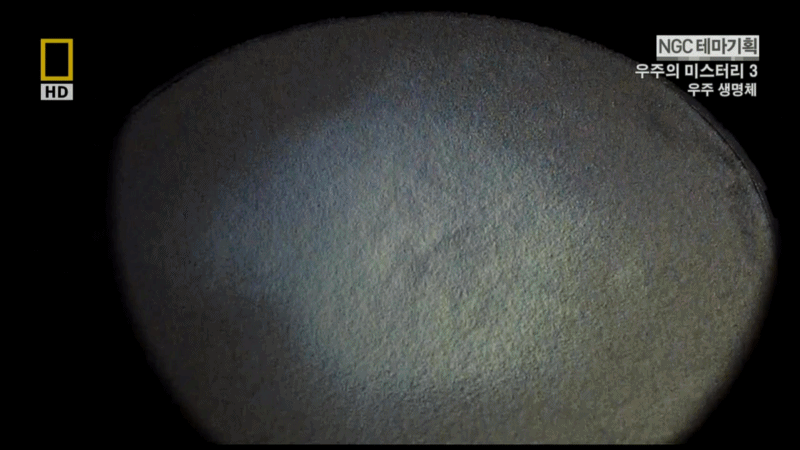 과학자들의 외계 생명체를 찾기위한 노력들.jpg | 인스티즈